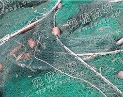 江苏无锡出售PA绿色渔网