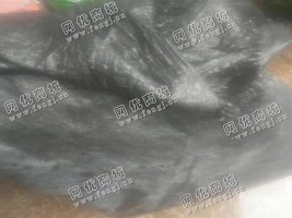 江西九江出售PP黑色太阳网