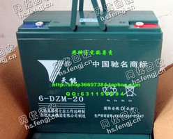 天能14*观光车水式电瓶回收