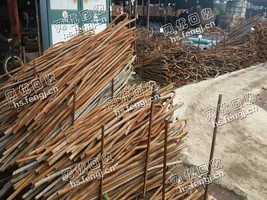 广西地区12个粗的钢筋头回收