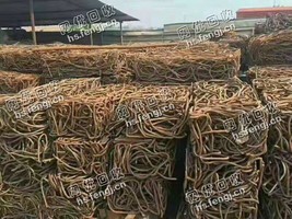 河北地区钢筋压块回收