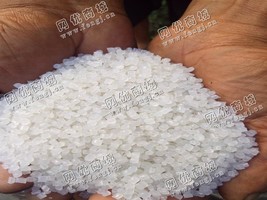 河北衡水出售LDPE一级白色高压膜颗粒