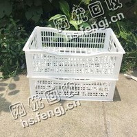 pp白色水果筐回收