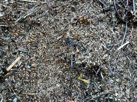河北地区钢刨花在线回收