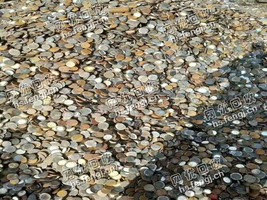 河北地区8个厚以上冲豆回收