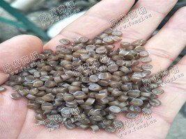 辽宁锦州出售HDPE香菇包棕色颗粒