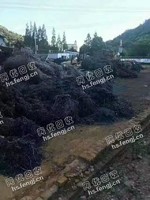 河北地区刨花散料回收