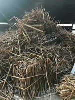 山东地区废钢筋在线回收