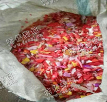 天津静海县出售PP红色透明水果框破碎料