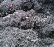 304不锈钢带油刨花回收