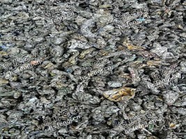 河南地区一级破碎料大量回收