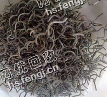 河北地区钨绞丝回收