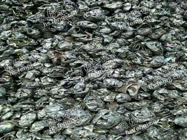一级破碎料在线回收