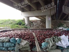 福州地区处理一批棕色的酒瓶玻璃