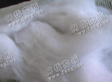 广东东莞地区长期出售白色涤纶开花棉
