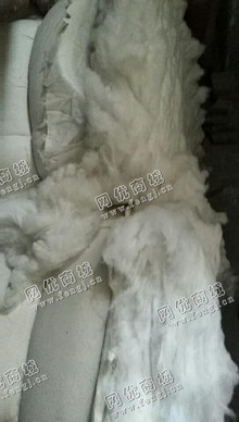 河北廊坊地区长期供应白色再生棉