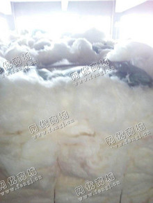 河南安阳地区长期供应白色涤纶开花棉