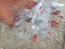 广西玉林地区出售PET矿泉水瓶破碎料